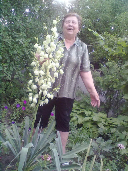 Валентина Карасева