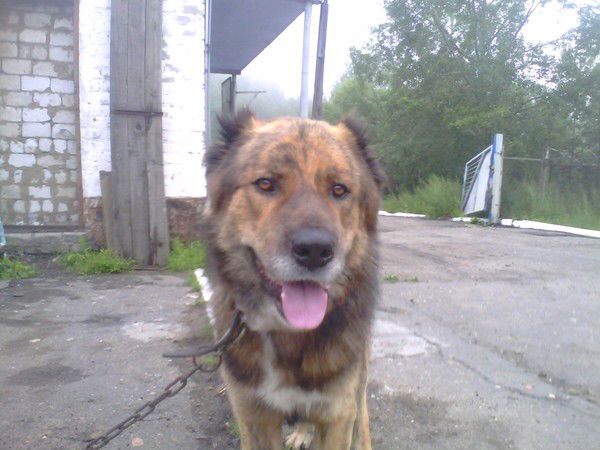 Дмитрий Воробей