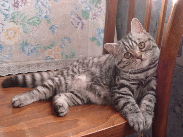 Наталия Милкина