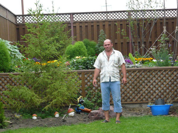 Андрей Томилин