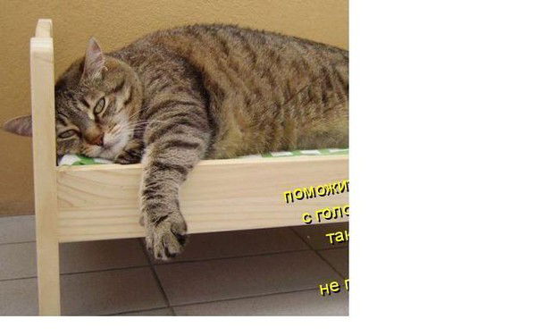 Павел Крачков