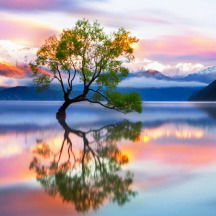 Жанна Сейдалина