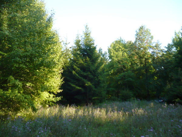 Григорий Захаров