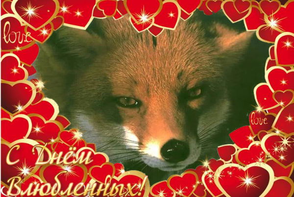 Ольга Лесникова