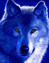 Александр Волков