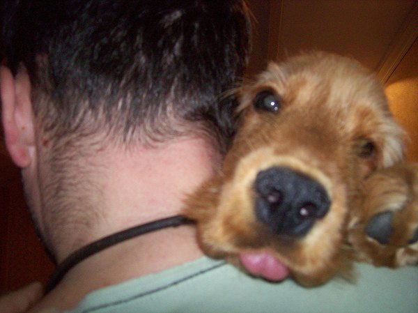 Дмитрий Ахлюстин