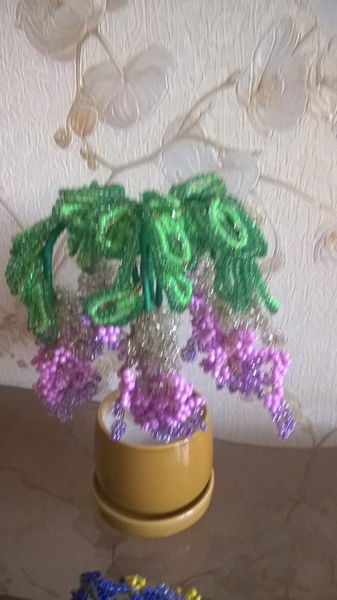 Елена Дорошко