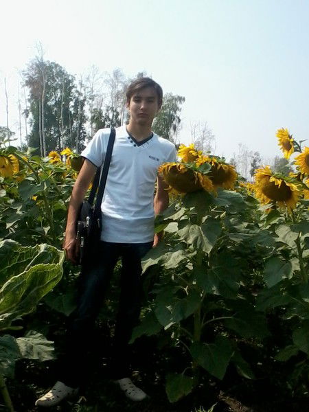 Дмитрий Стрельцов