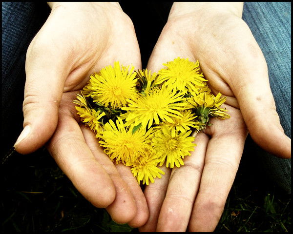 Аурика Змановская