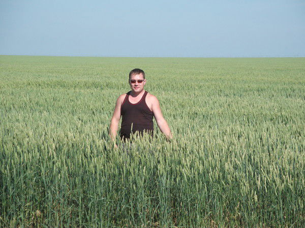 Александр Стремедловский