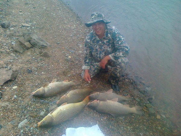 Олег Степкин