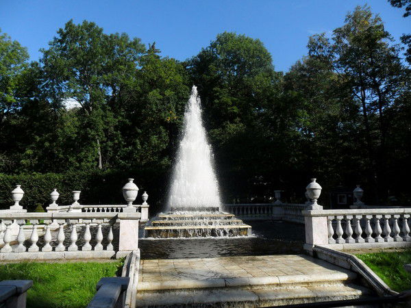 Наталья Свистунова