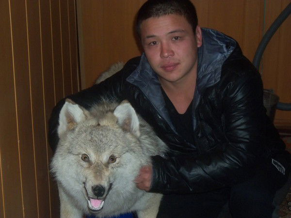 Дулат Айдаров