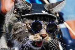 Павел Nikolaevich