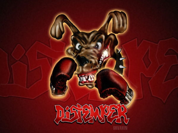 Даврон Мамадалиев