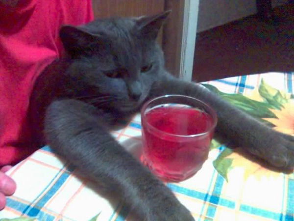 Дмитрии Ефимов