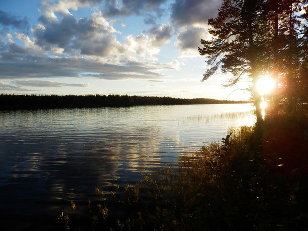 Вера Суетко