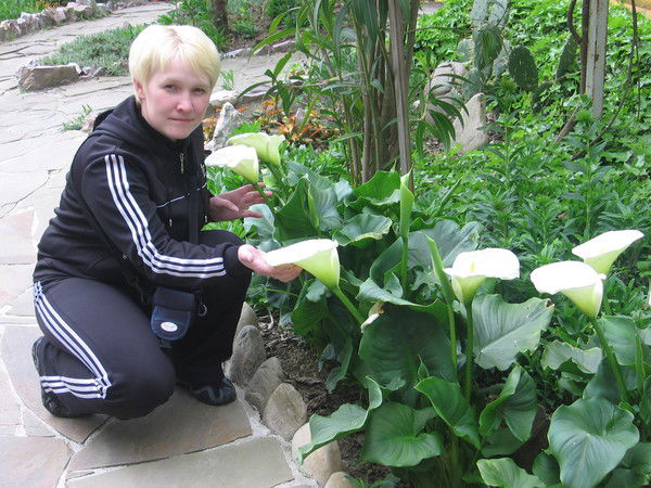 Оксана Суровцева