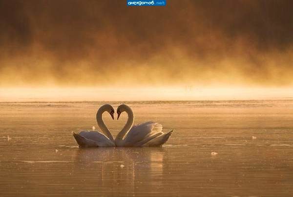 Шынар Есеева