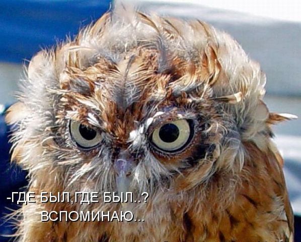 Валерий Валерьевич