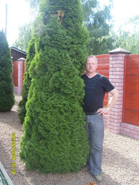 Денис Шевцов