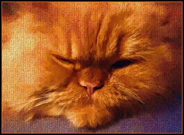 Наталия Каданцева