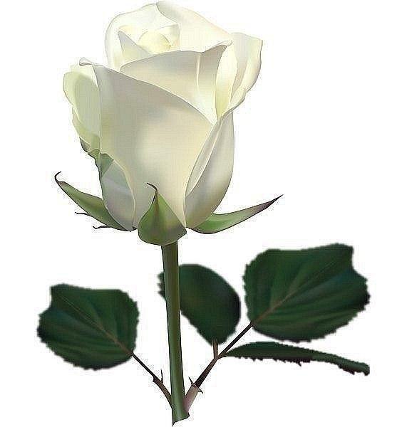 Канатова Данара