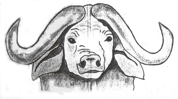 Денис Михайлович Буянов