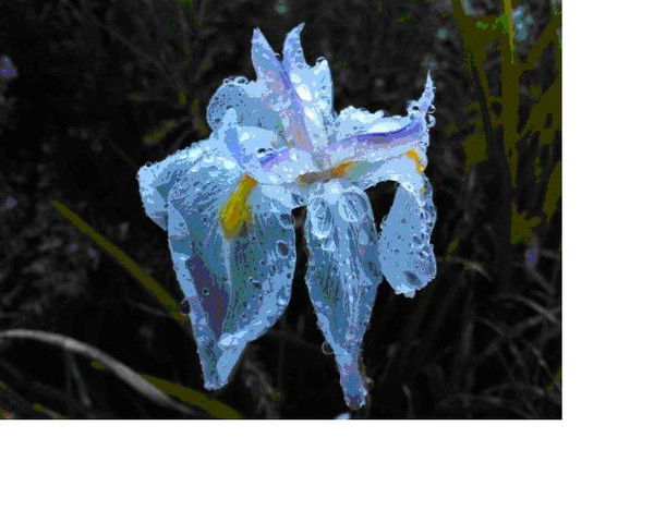 Инна Бебнева (Ежкова)