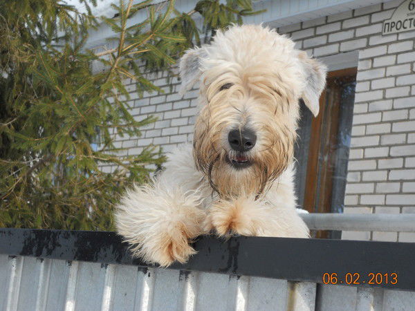 Татьяна Нуждова