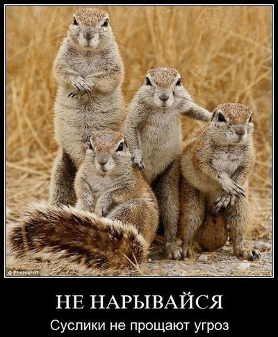 Сергей Суслов