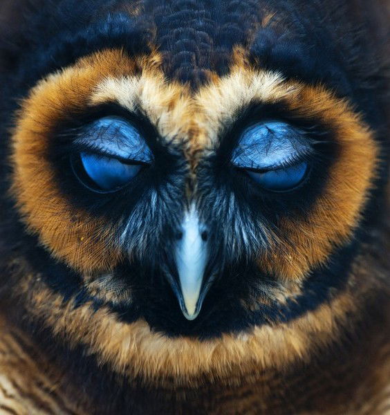 Сергей Эскин