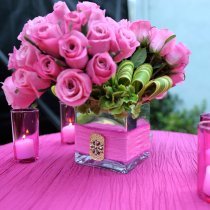 Нина Догонова