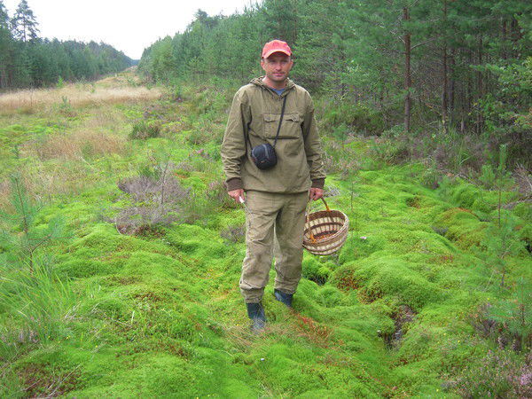 Виктор Мацута