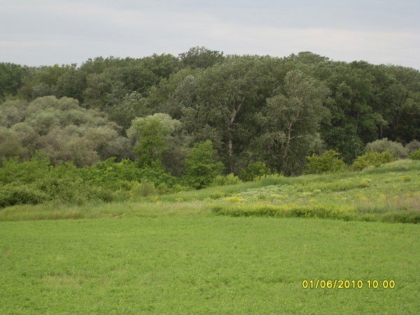 Дмитрий Скоробан