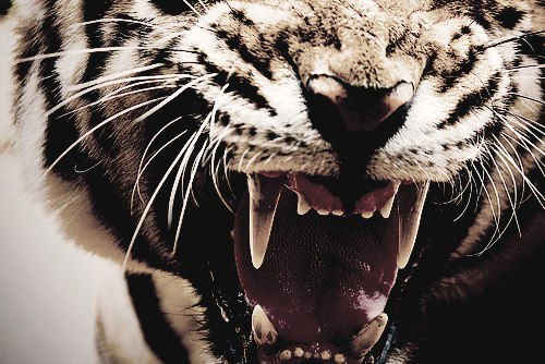 Илья Игоревич