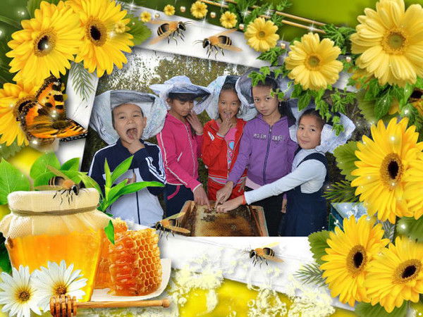 Кгу Сш Им. Н. Крупской