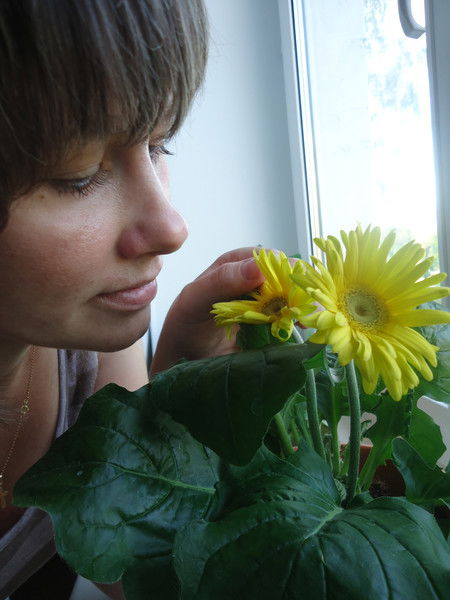 Эмиламина Эмиламина