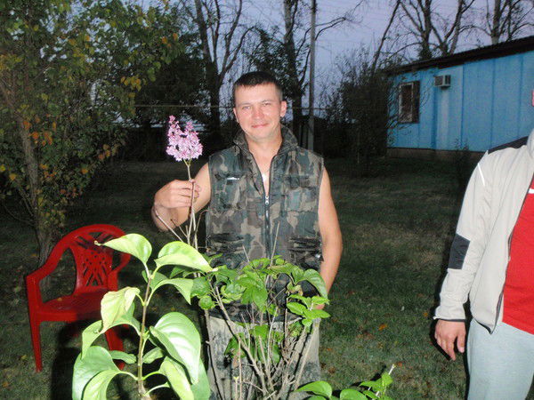 Сергей Файзуллин