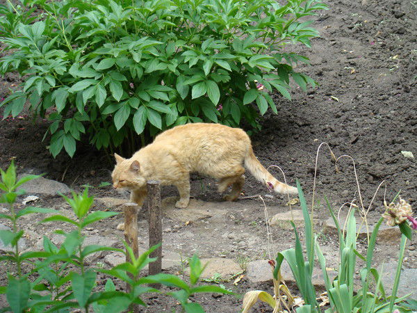 Владимир Ярчук