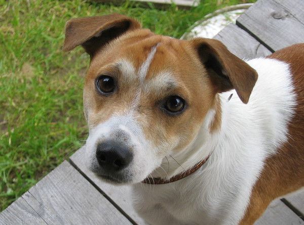 Соболев Валерий