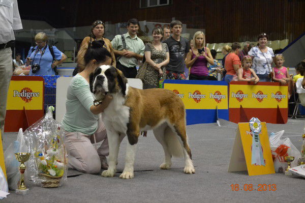 Алла Березина