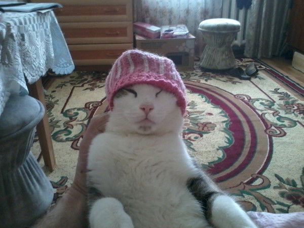 Евгений Лебедев