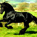 Кама Ахмедов