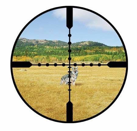 Abdrahmanov ***almas***