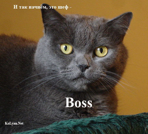 Олег Васильевич Кубарев