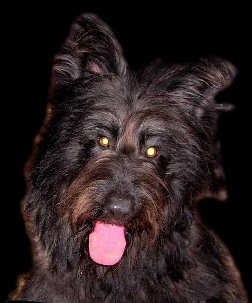 Алексей Мармалев