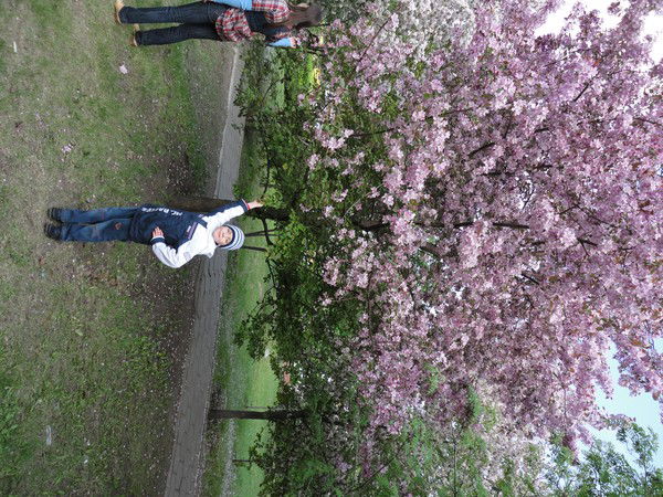 Илья Песоцкий