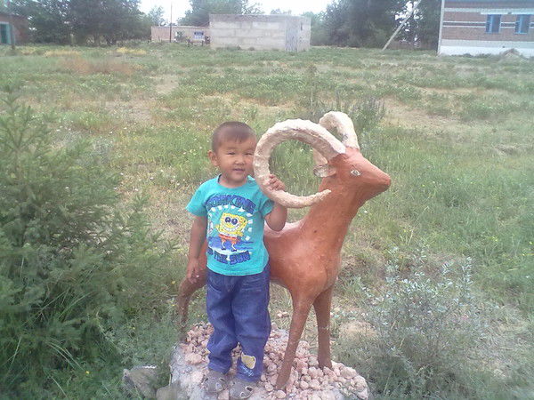 Асель Дамолданова