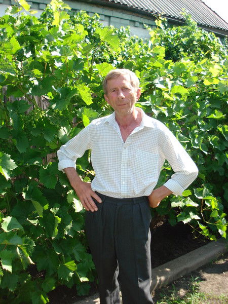 Владимир Рогач